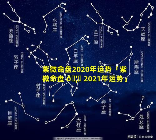 紫微命盘2020年运势「紫微命盘 🦈 2021年运势」